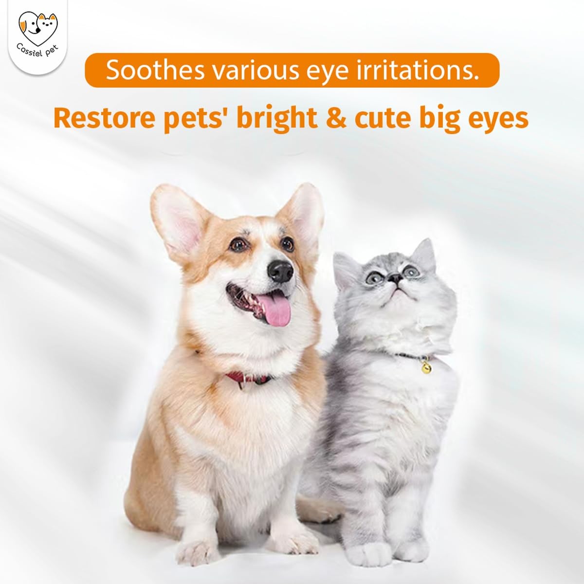 Cassiel pet Eye Drops for Infection Treatment, Soothe 1 Bottle, colorless