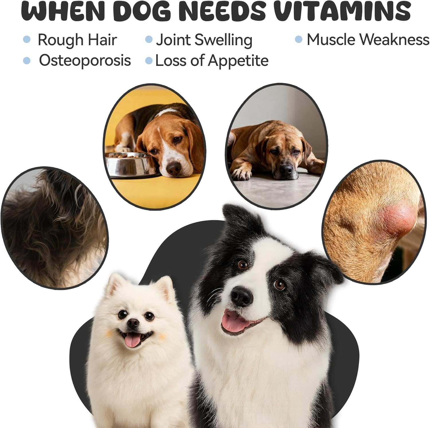 25-in-1 Dog Multivitamin Supplement, Rich in Various Vitamins,…