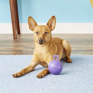Jolly Pets Tug-n-Toss Ball with Handle Purple 4.5 inch Rubber Toy for Dogs