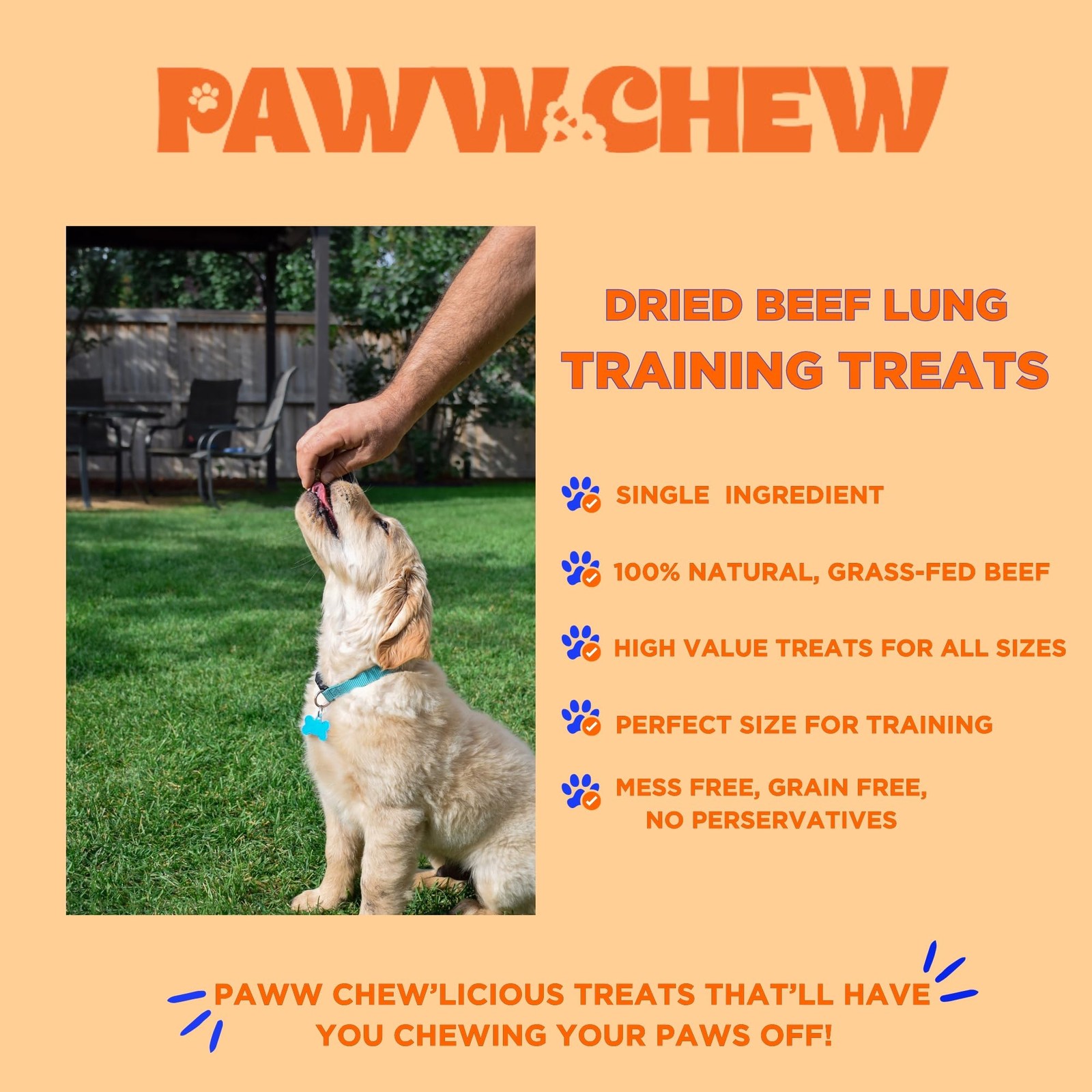 PAWW CHEW Beef Lung Dog Treats – 100% Natural, Single 1 Pound (Pack of 1)