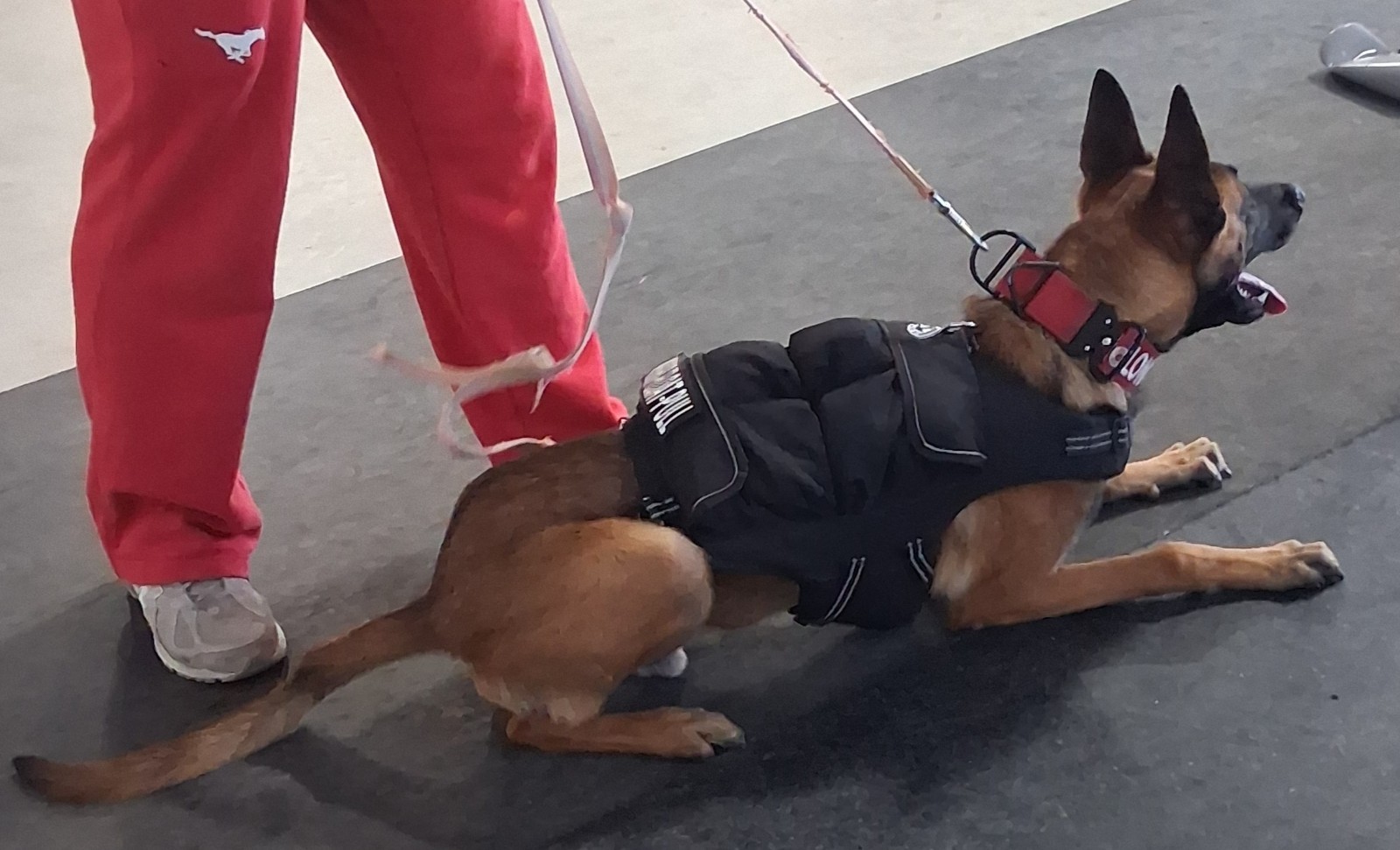 CWS Weighted Dog Vest + Flotation Vest-Medium 12 Pounds Sandbags Only No Sand!!