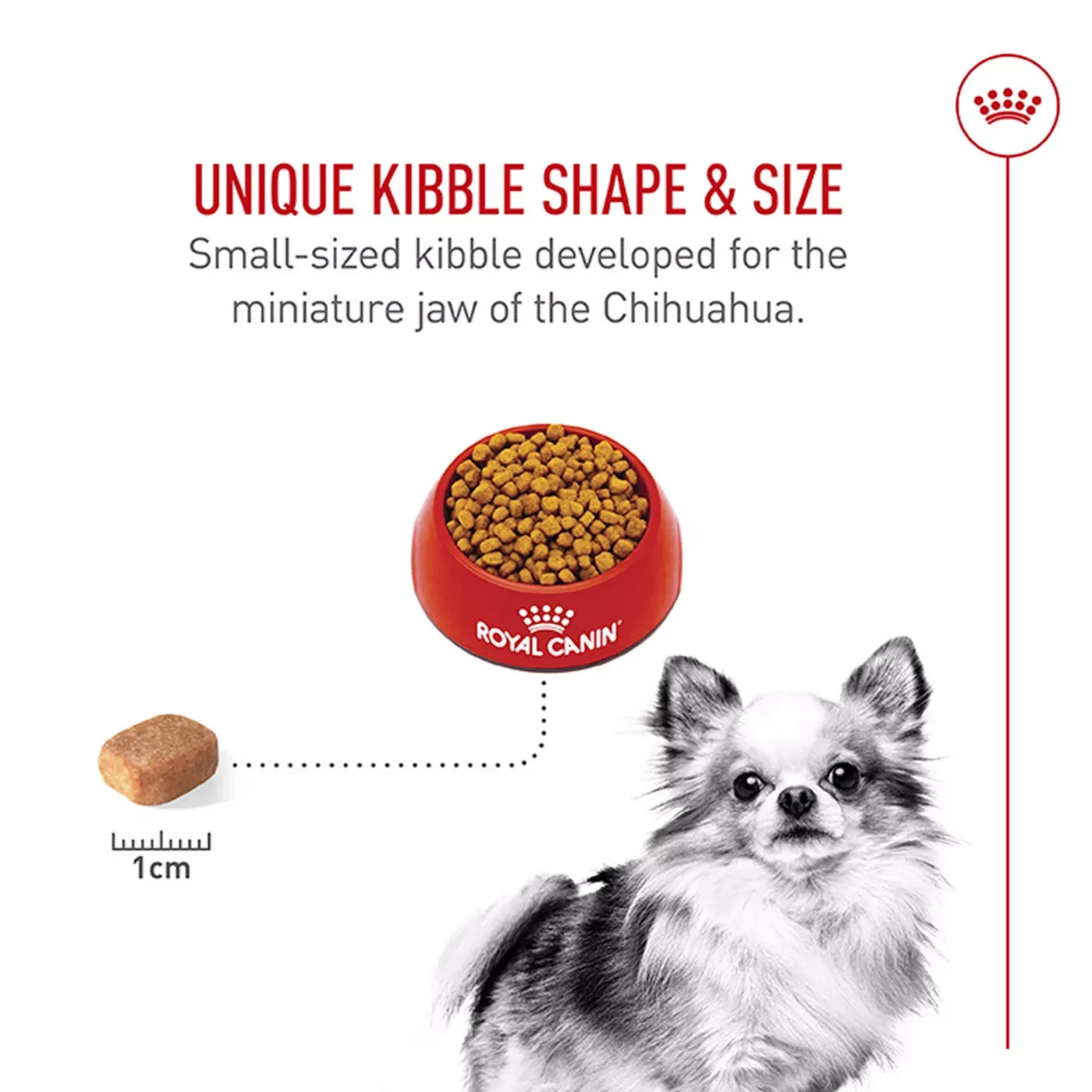 Royal Canin Chihuahua Adult Dry Dog Food Breed Specific Nutrition 2 lb Bag