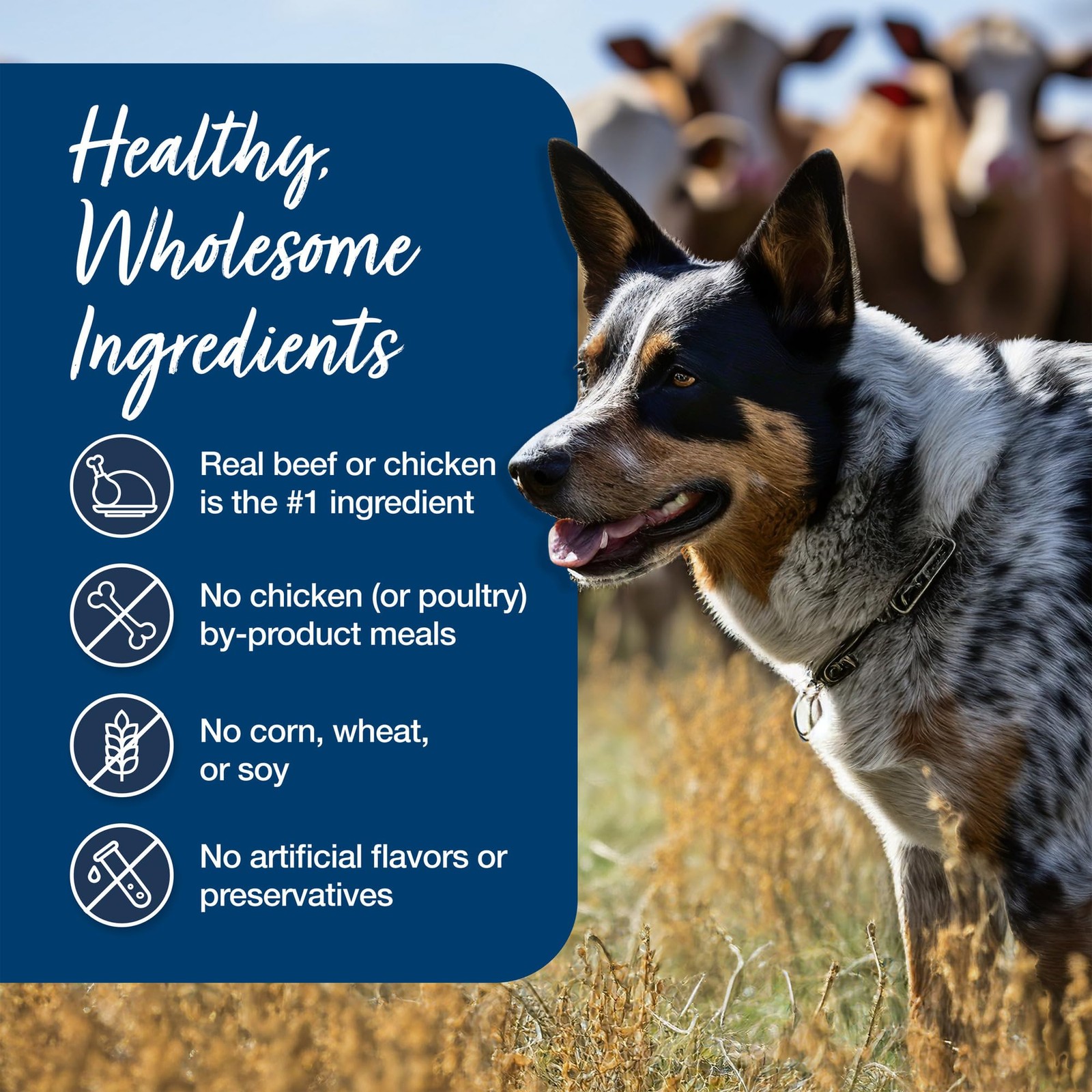 Blue Buffalo Blue’s Stew Natural Wet Dog Food, Made with Natural 6 Count