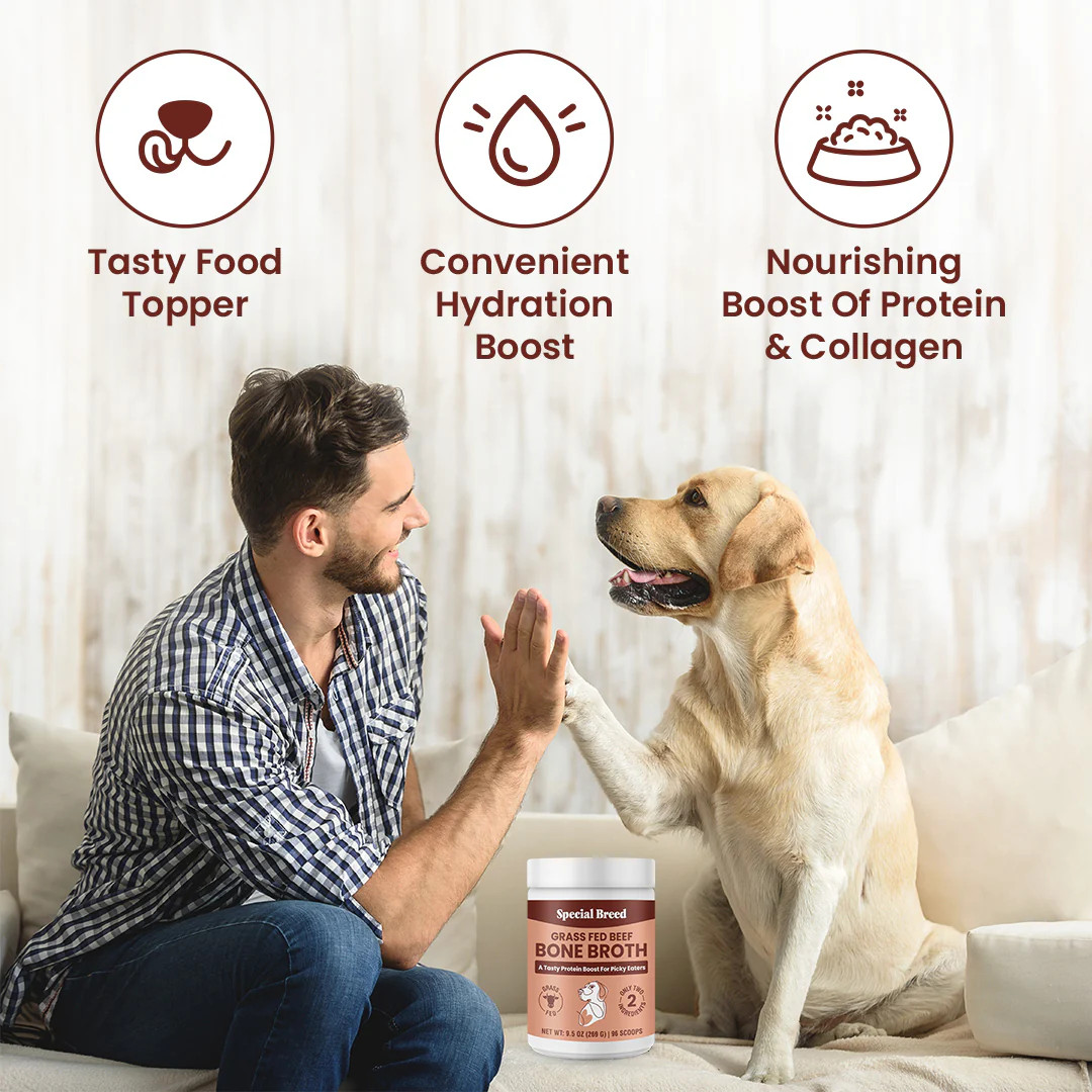 Bone Broth Powder 9.5oz