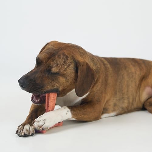 Durable T Bone Chew Toy For Aggressive Chewers Promotes Dental Health 7X5 Inch