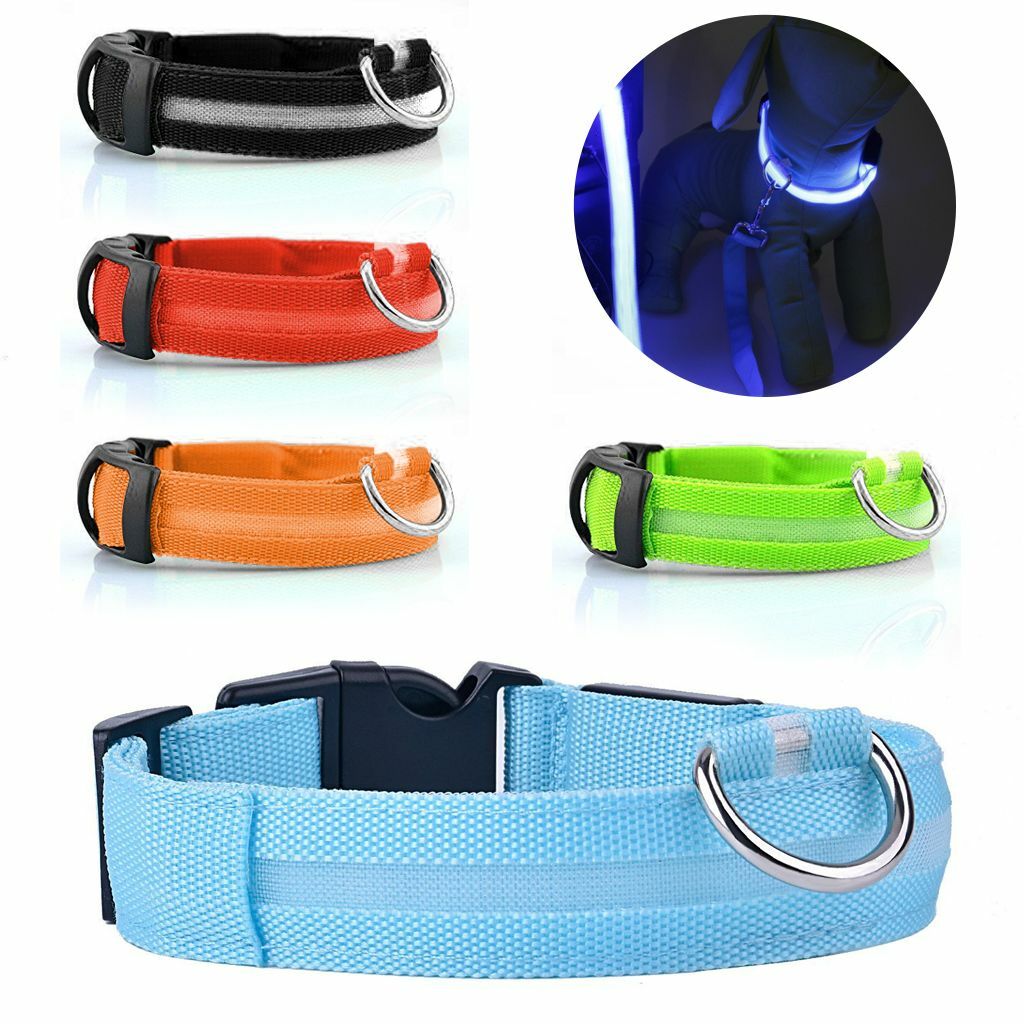 USB Rechargeable LED Dog Light Up Safety Collar Night Glow Adjustable Bright USA