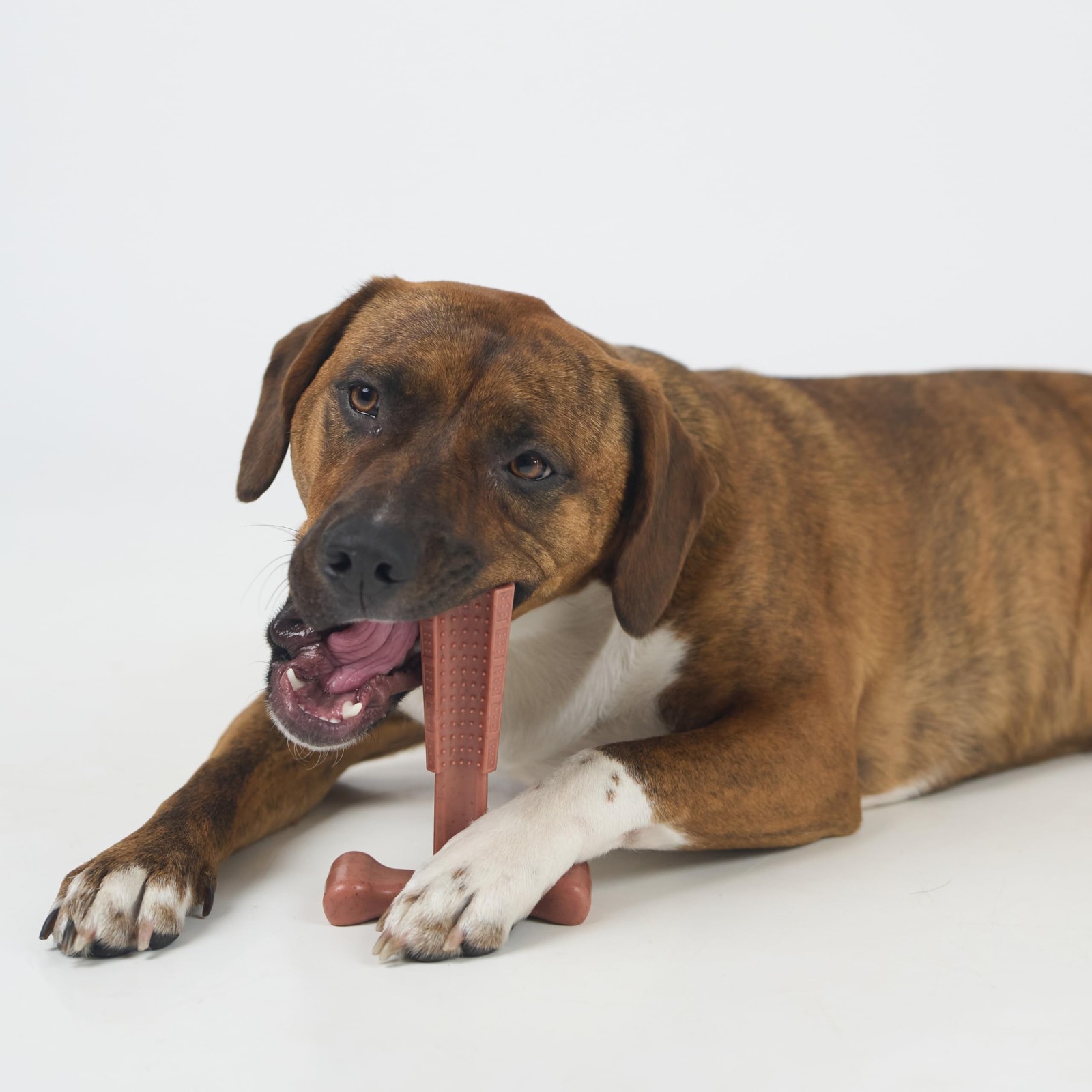 Durable T Bone Chew Toy For Aggressive Chewers Promotes Dental Health 7X5 Inch