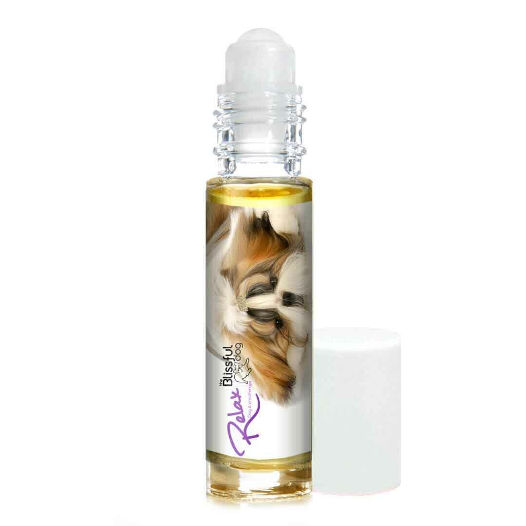 Shih Tzu Relax Dog Aromatherapy | Calms Your Anxious, Scared Shih Tzu Naturally