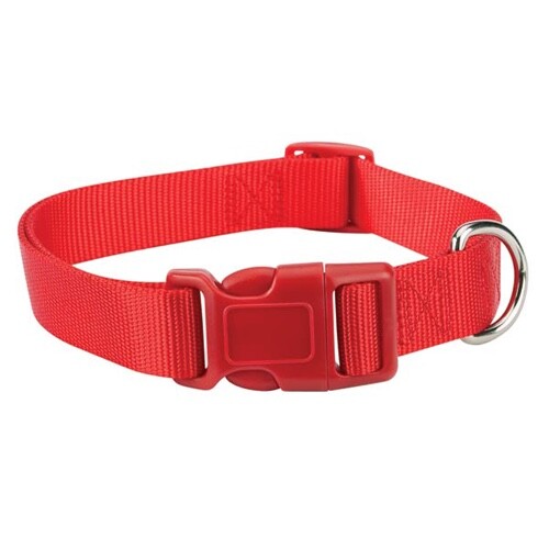 Casual Canine Nylon Dog Collar w Quick Release Buckle XS S M L 11 Colors