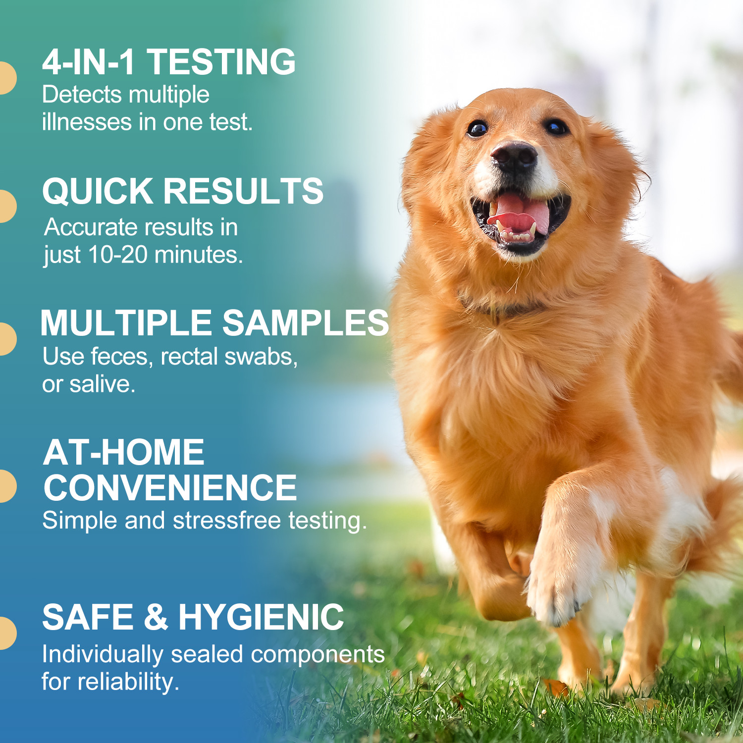 2pcs Canine/Dog 4-in-1 CDV/CPV/CCV/GIA Test Kit Health Pet Rapid test Home Test