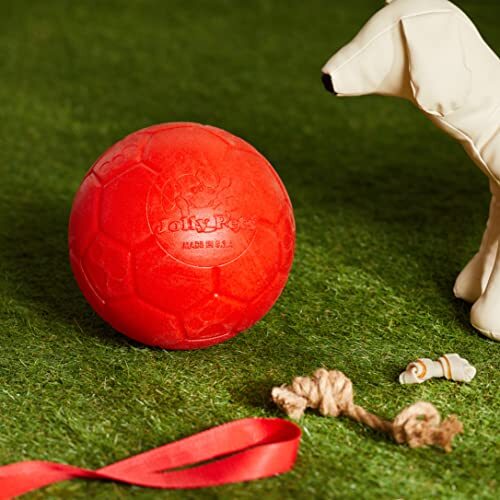 Jolly Pets Large Soccer Ball Floating-Bouncing Dog Toy, 8 inch Diameter,