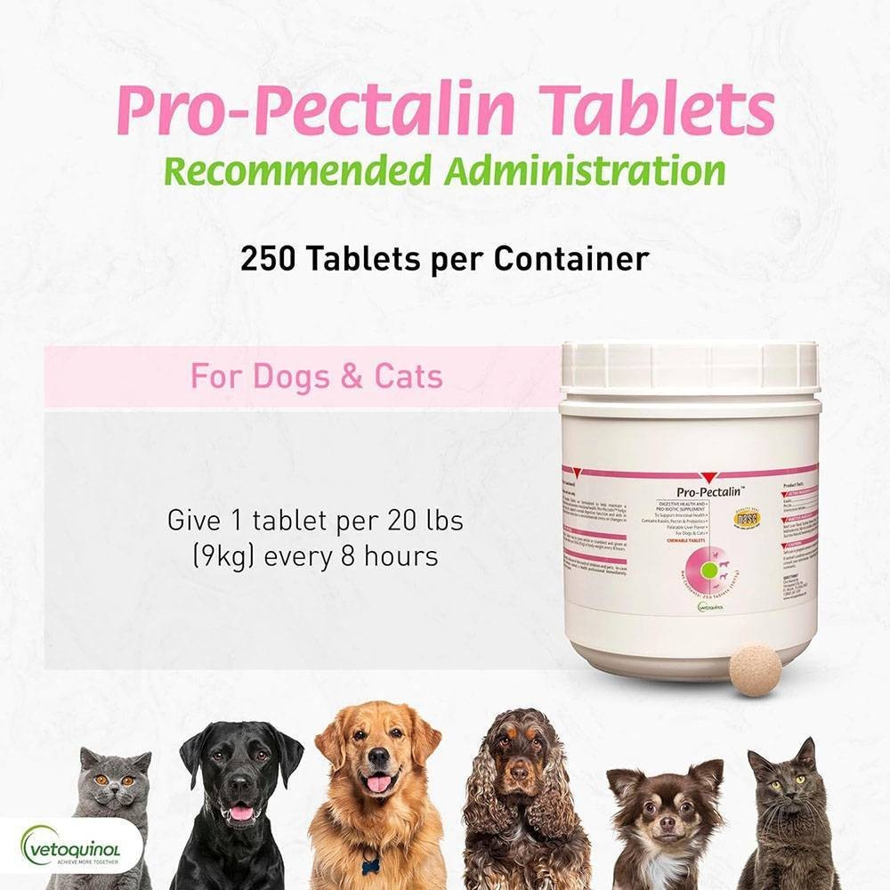 Pro-Pectalin Anti-Diarrheal Tablets for Dogs & Cats (250 Tabs)