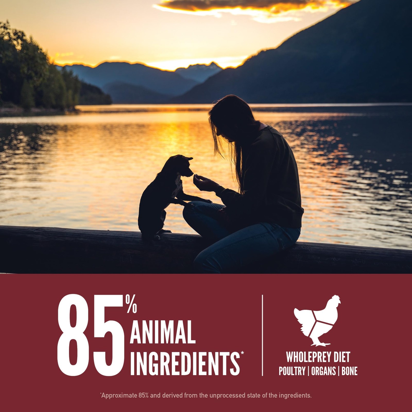 ORIJEN Grain Free High Protein Dry Dog Food Small 4 Pound (Pack of 1), Pink