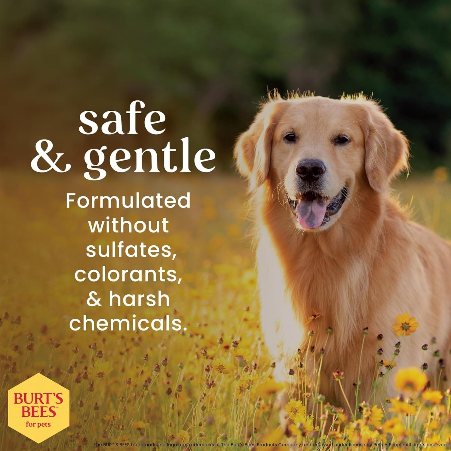 Natural Detangling Spray for Dogs, Lemon & Linseed Oil, 10 oz – Irritation-Free