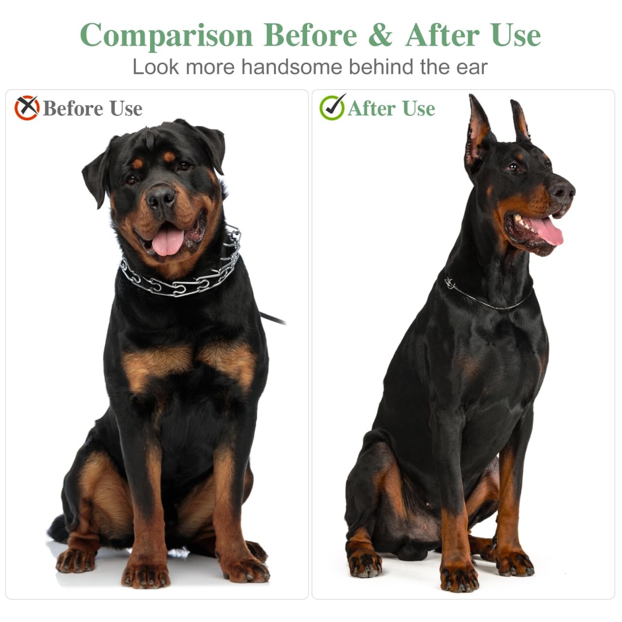POPETPOP 2 Sets Dog Ear Posting Kit – Doberman 14.00X8.00X7.00CM, As Shown