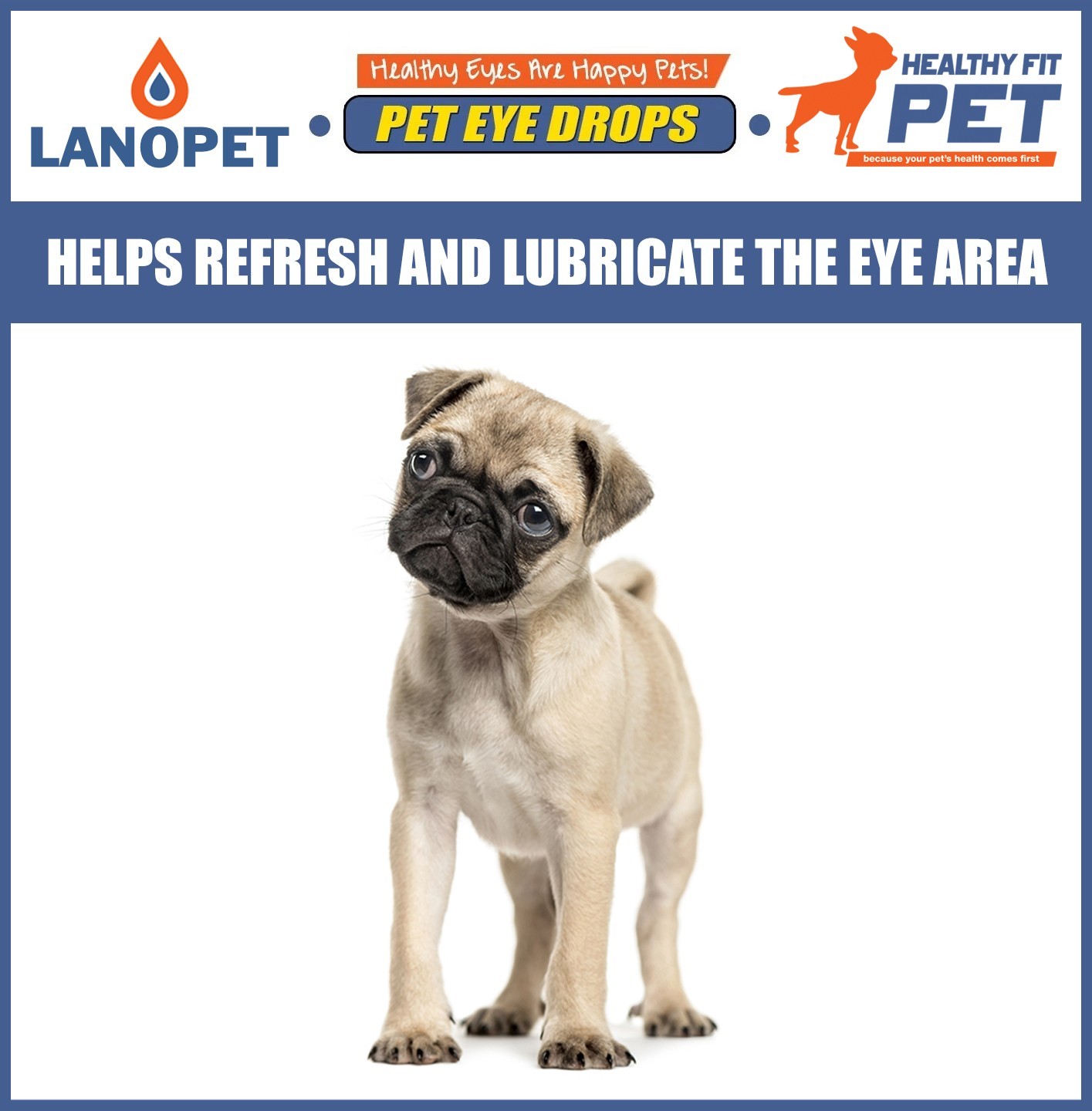 Lanosterol + NAC Dog Cat Eye drops | Cataracts, Dry Eyes, Tearing, MAX Strength