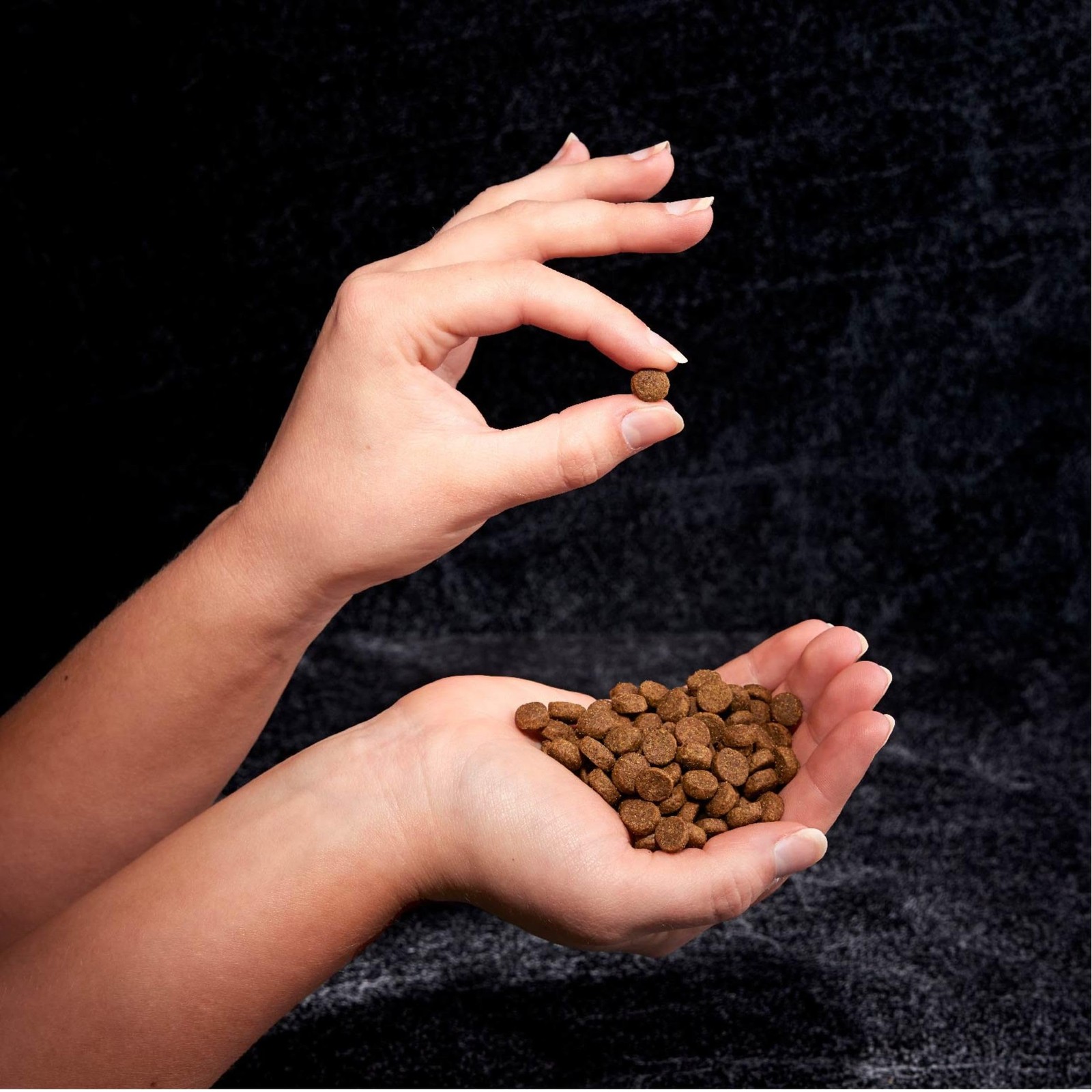 CRAVE Grain Free High Protein Adult Dry Dog Food, 4 Pound (Pack of 1)