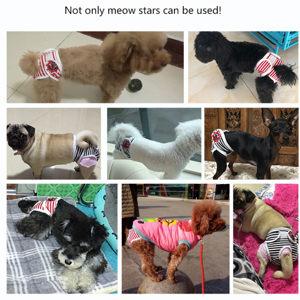 Pet Dog Diaper Female Puppy Physiological Panties Comfort Nappy Pant Sanitary US