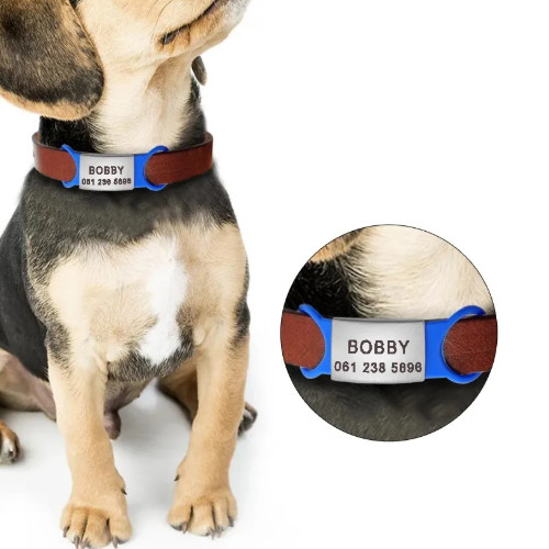 Custom Dog Tag for Pets Engraved Name Tag Slide On ID Tags & Collar Tags S, M, L
