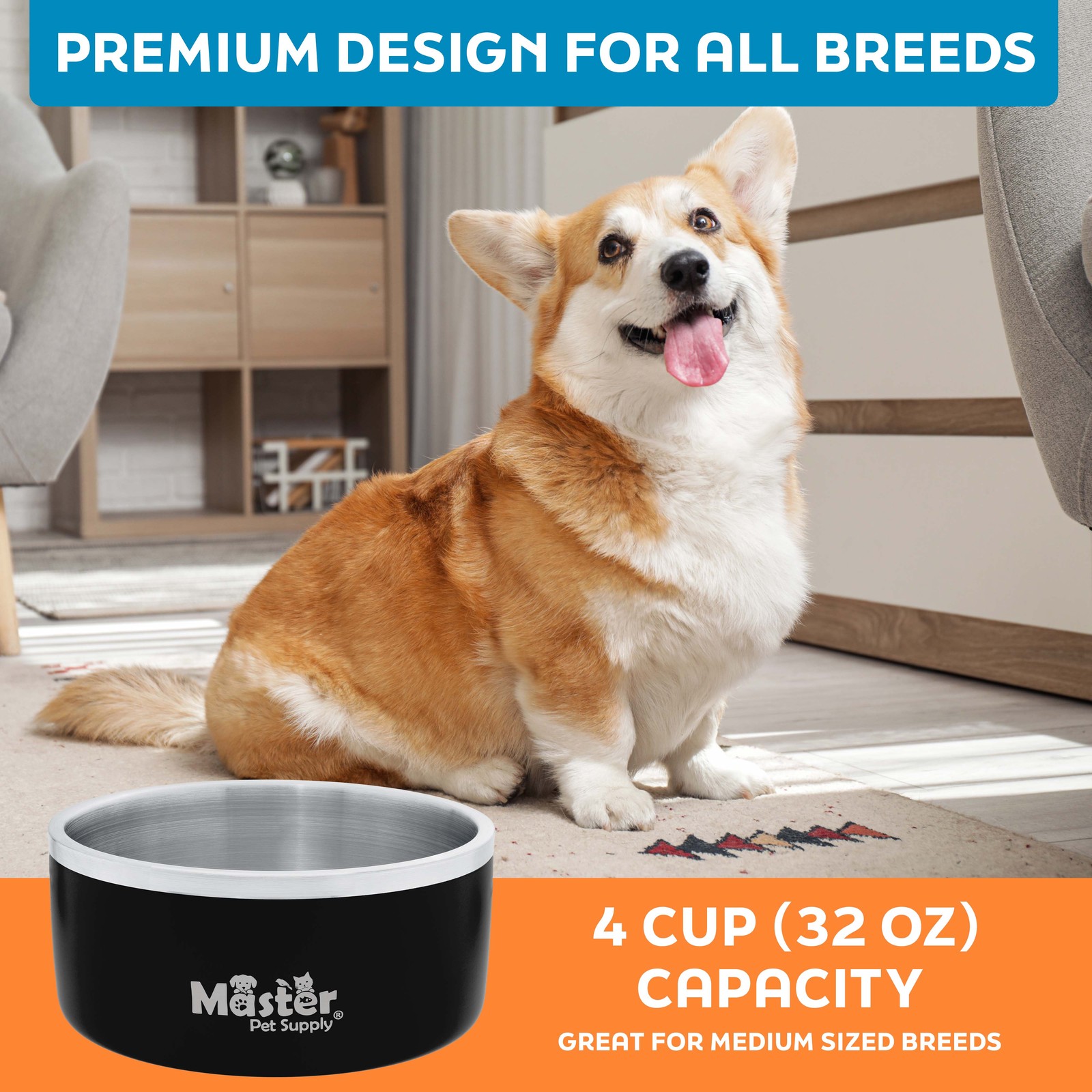Stainless Steel Medium Double Wall Dog Bowl with Anti Skid Base – Black Velvet