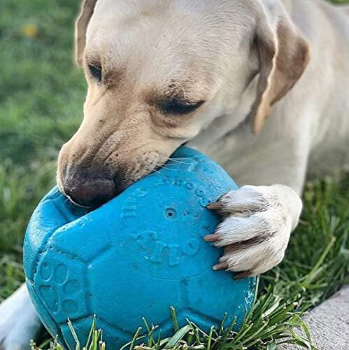 Juguete Para Perros Con Rebote Flotante Y Balon De Futbol Grande, 8 Pulgadas…