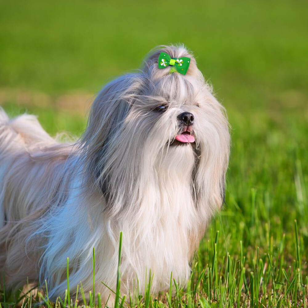 20pcs Dog Hair Bows Clips Grooming Accessories for Pet Puppy Cat Shih Tzu Yorkie