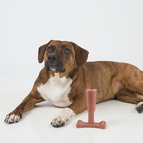 Durable T Bone Chew Toy For Aggressive Chewers Promotes Dental Health 7X5 Inch