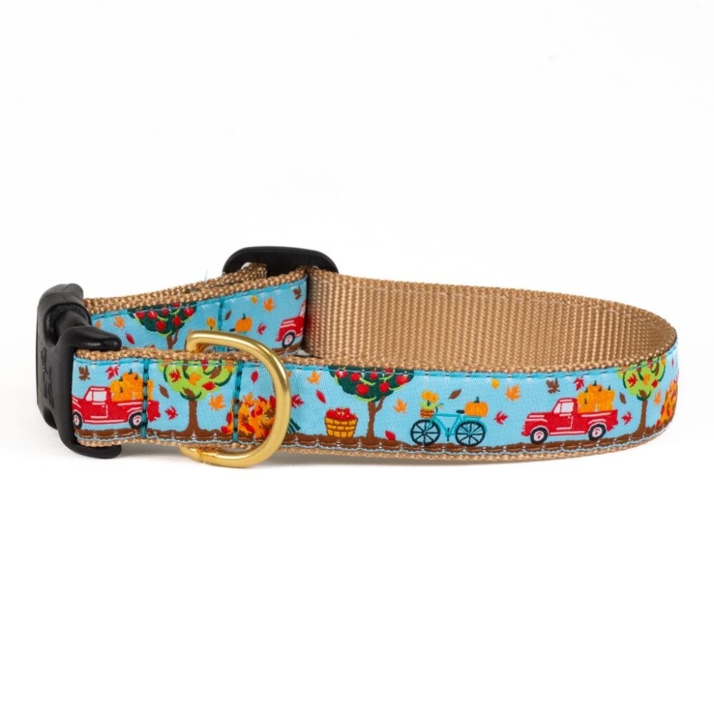 Up Country Dog Collar To The Orchard Fall Adjustable Made In USA XS S M L XL XXL