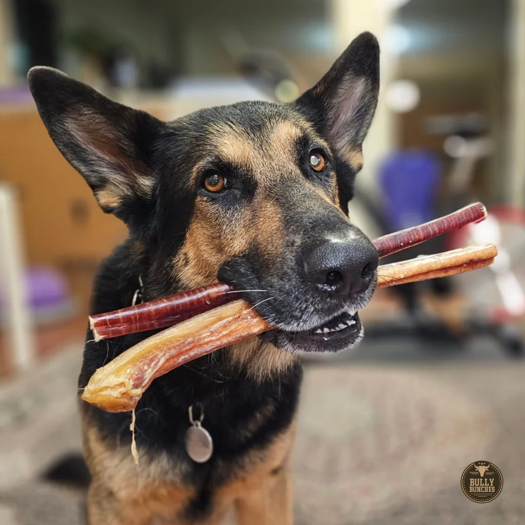 12″ Bully Sticks Standard 100% Natural Beef Excellent Dog Chew USDA FDA Approved