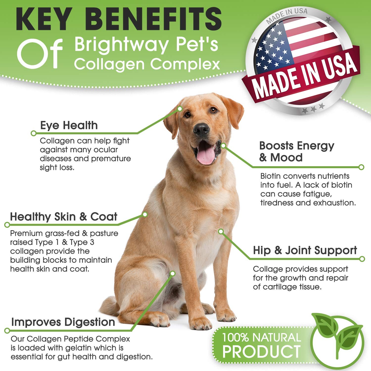 K9 Collagen PEPTIDE Complex W/BIOTIN – Hip & Joint 8 Ounce (Pack of 1)