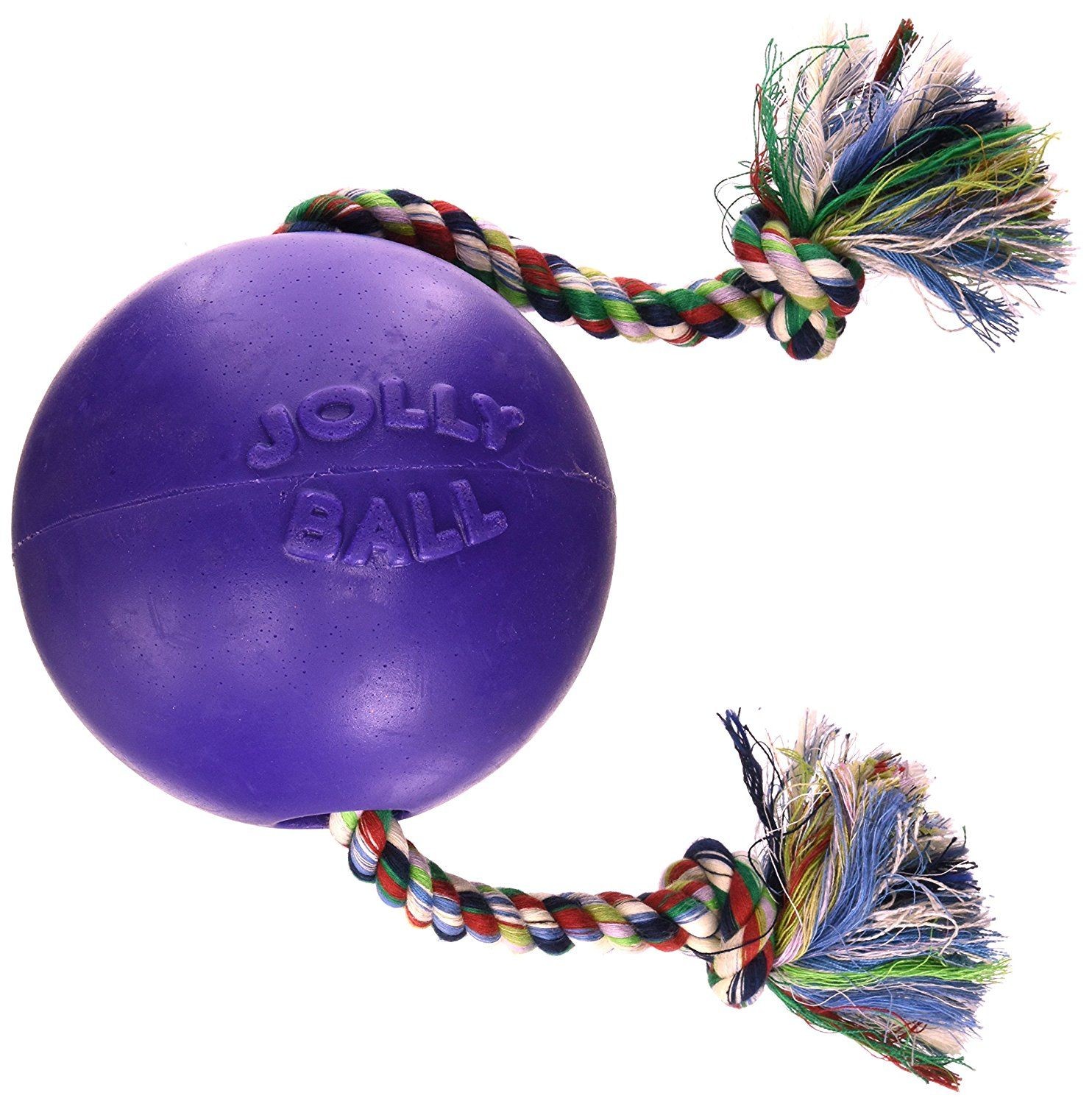 Jolly Pets Romp-n-Roll 4.5 inch Purple Rubber Ball with Rope for Dogs