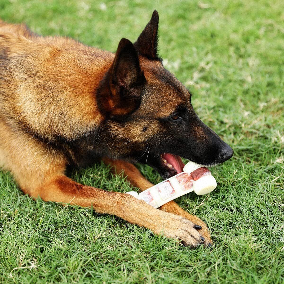 Tikaton Hammerbone Indestructible Dog Chew Toys Bones Beef Flavor Dog Toy, Large