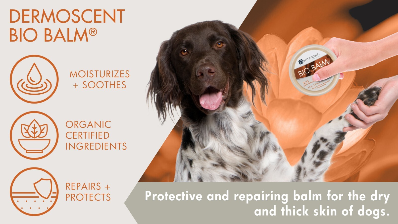 Bio Balm dog moisturizing cream irritation repairing paw pads SOS dry skin 50ml