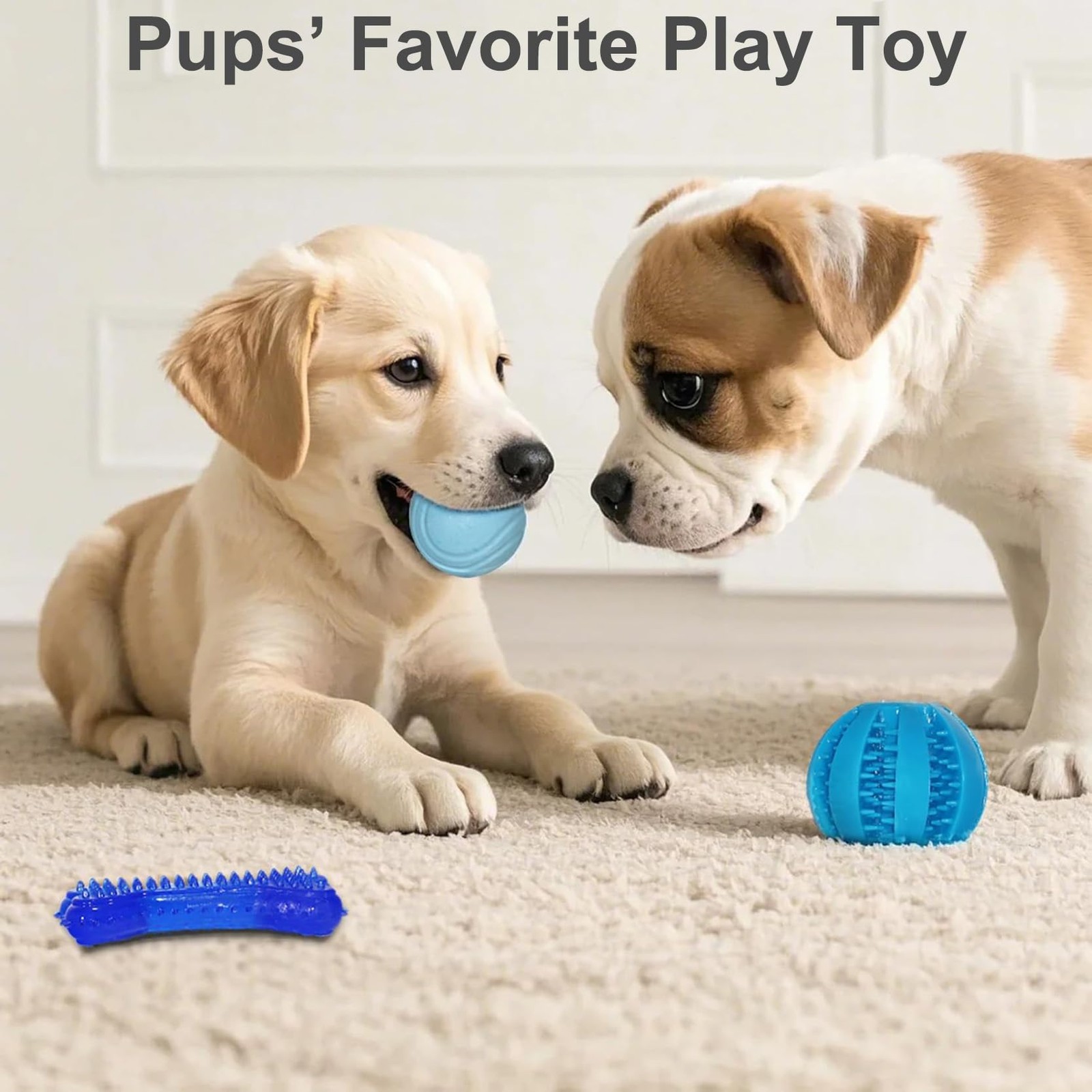 Puppy Chew Toys for Teething and Fun 20 Pack Dog Toys for Small Puppies Bulk