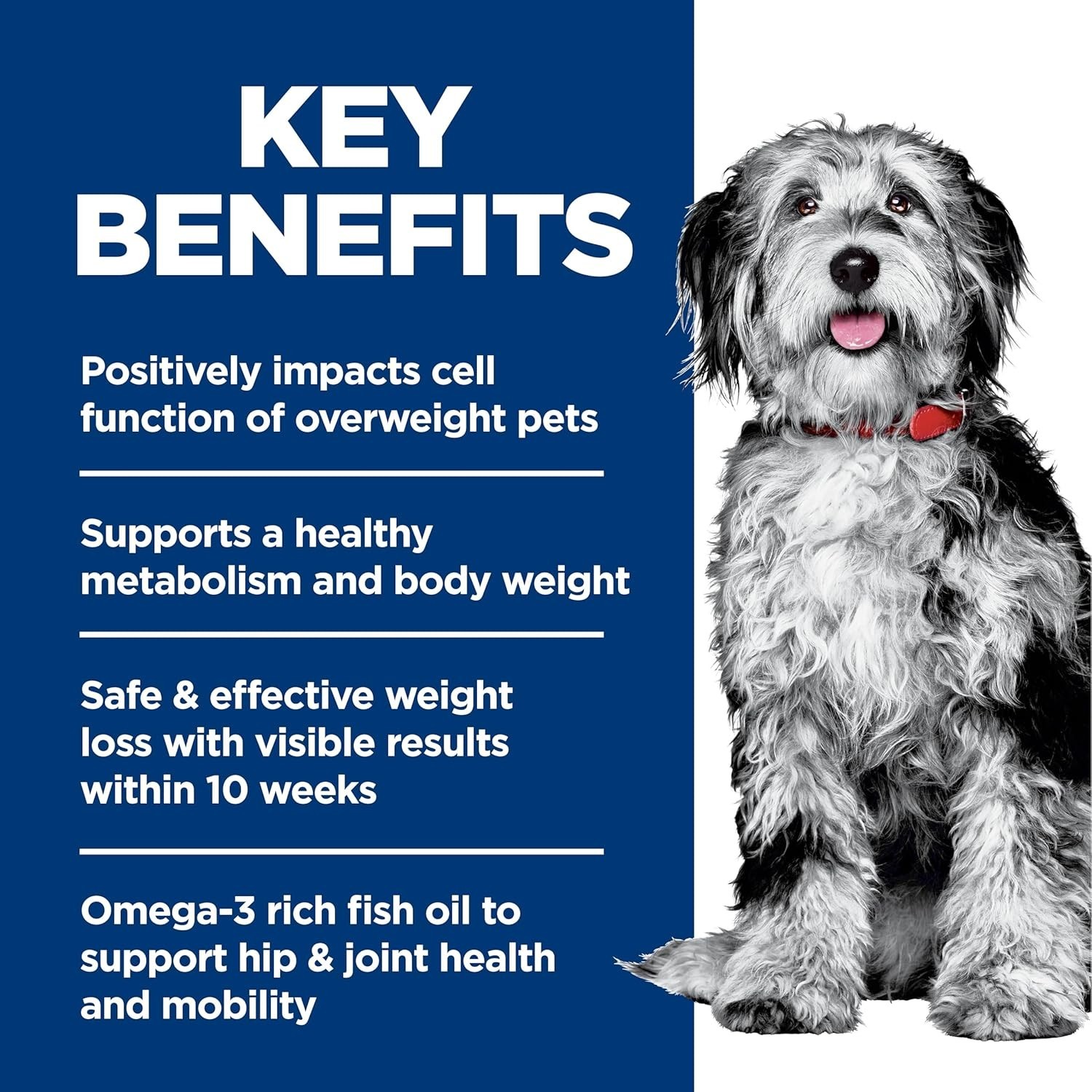 All-Natural Joint Support & Weight Management Dog Food – 3.5 lb Chicken Flavor