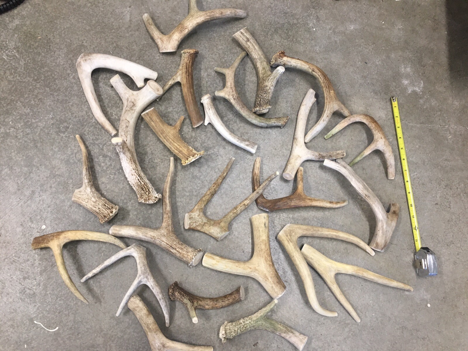 1 Pound Cheap Chews Deer & Elk Antler Dog Chew Mix-M/L LOT Bulk Fork Large SALE