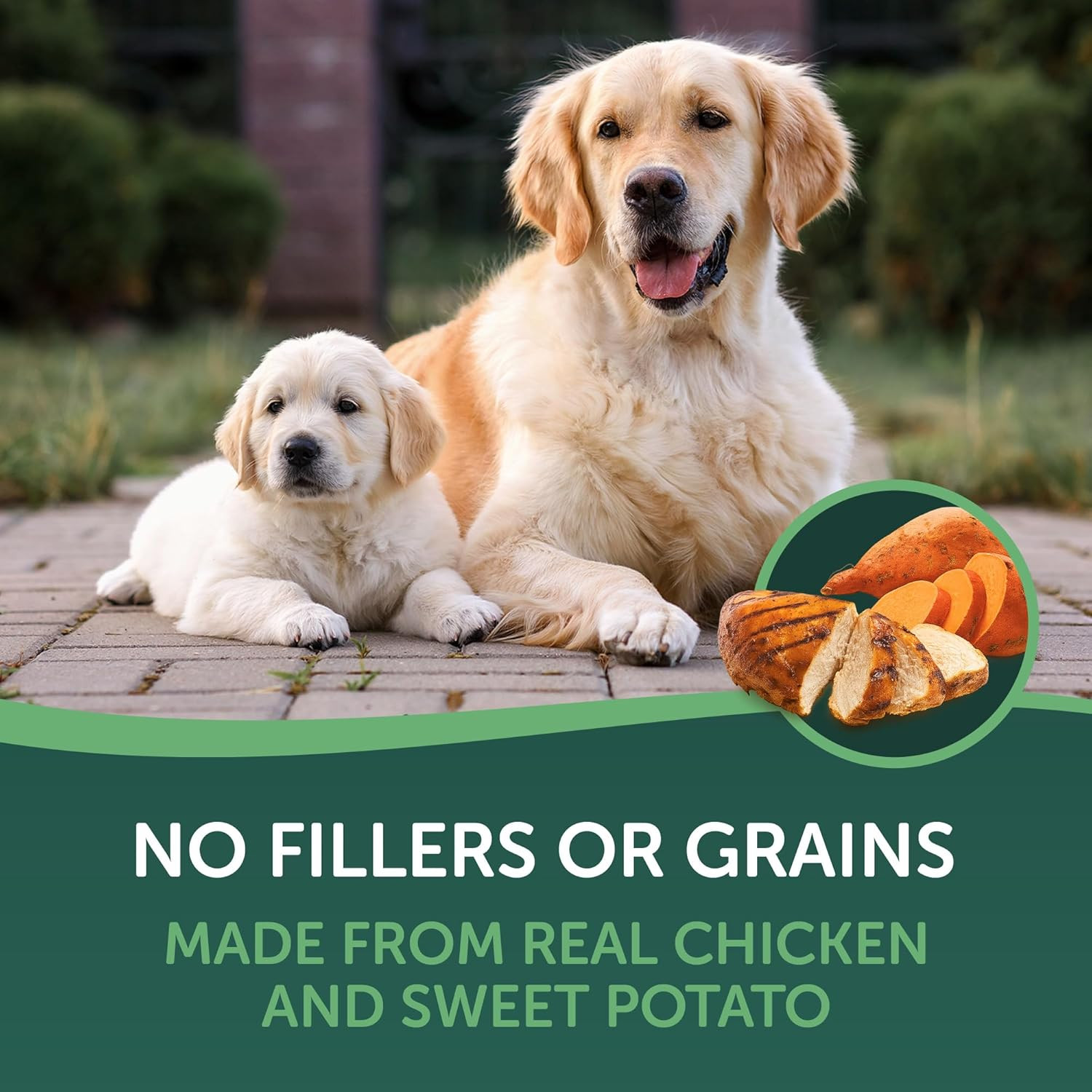 Chicken Wrapped Sweet Potato Dog Treats, 16Oz