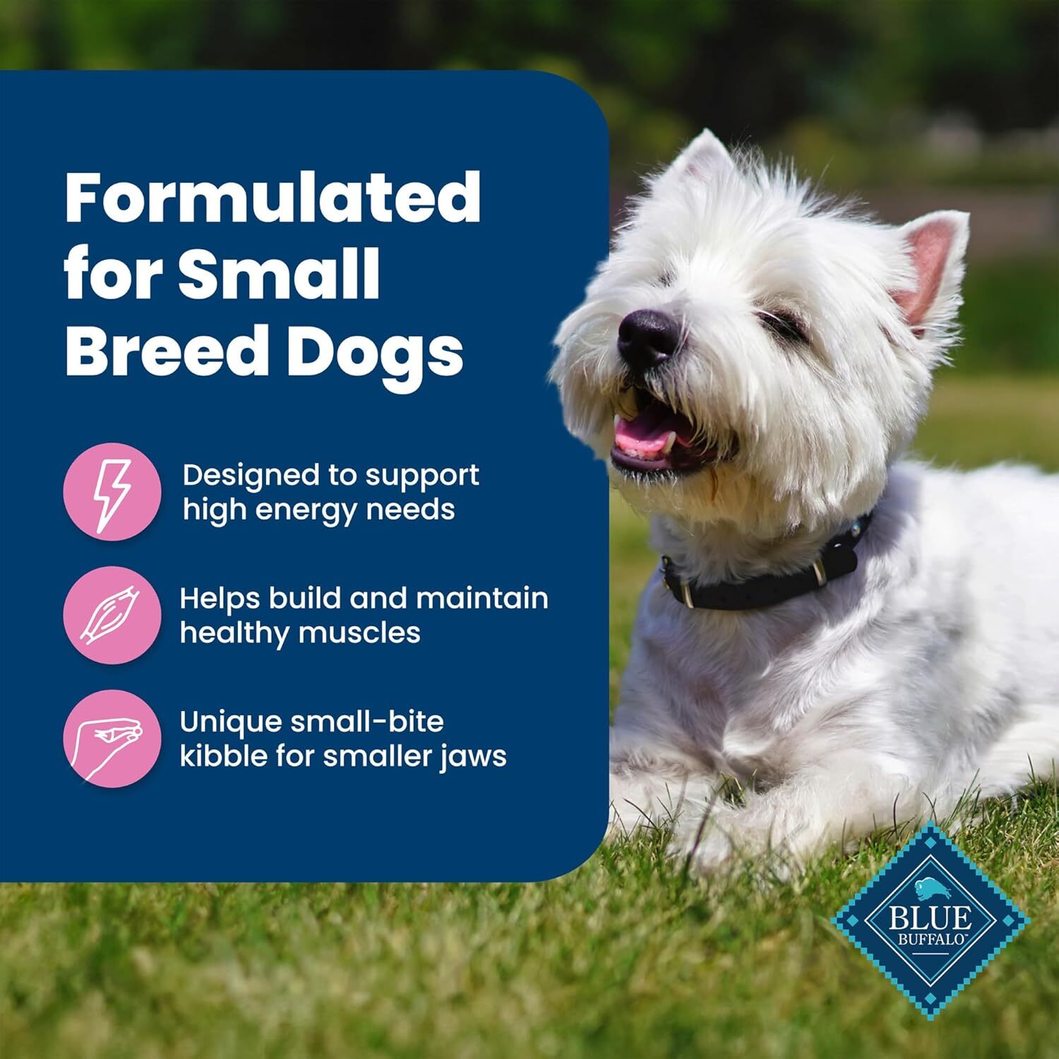 Blue Buffalo Life Protection Formula Small Breed Dry Dog Food Chicken Brown Rice