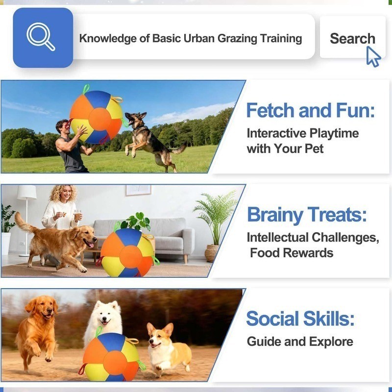 Jumbo Ball, Giant Herding Training Ball for Dogs