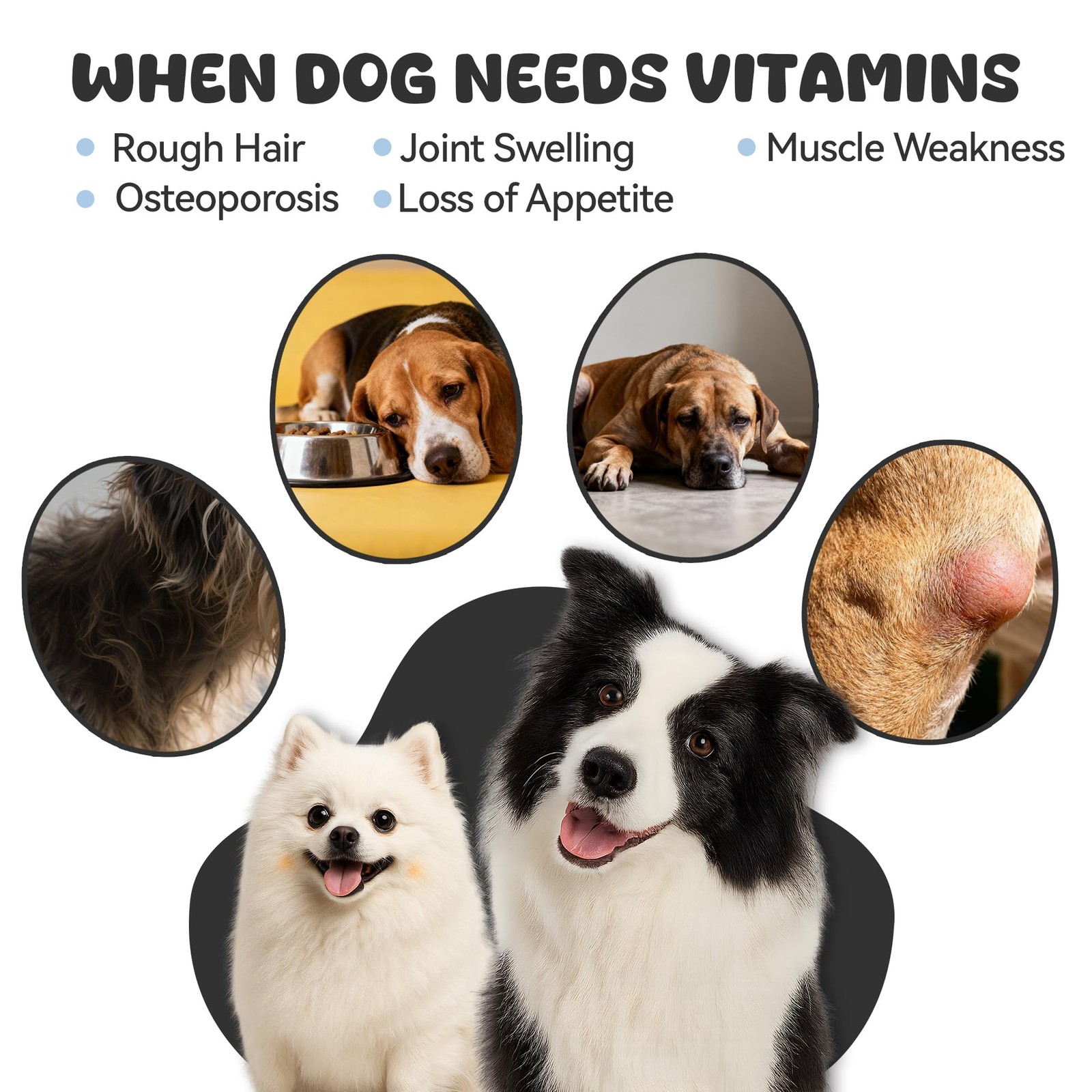 25-in-1 Dog Multivitamin Supplement, Rich in Various Vitamins,…