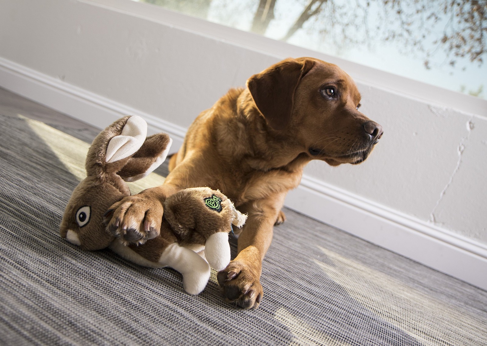 goDog Wildlife Rabbit Squeaky Plush Dog Toy, Chew Guard Technology – Brown,