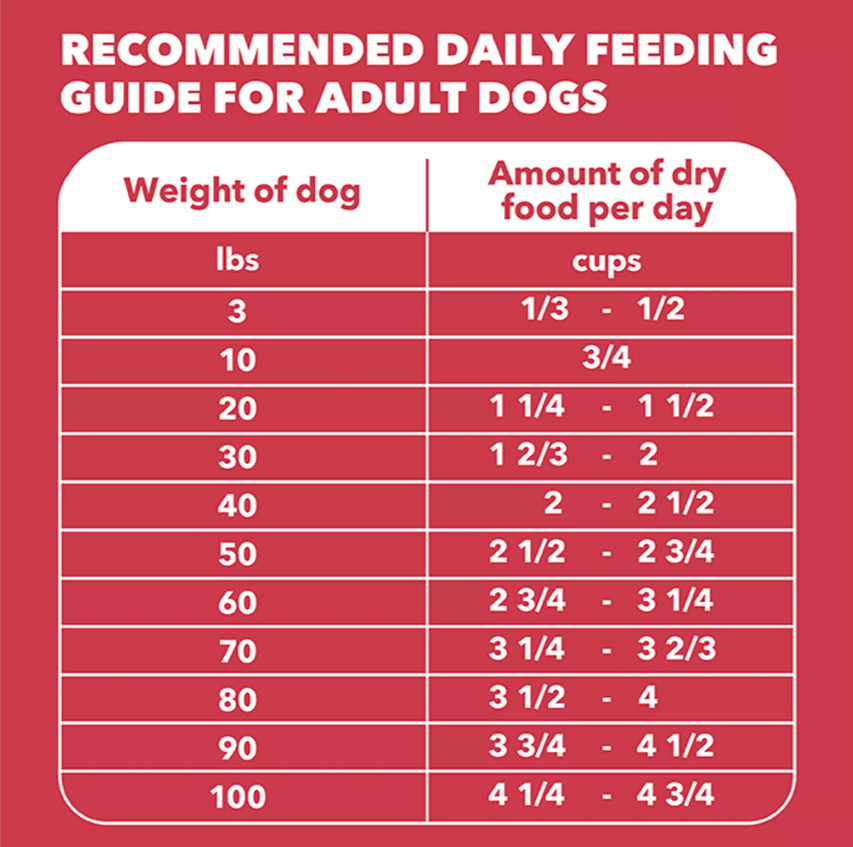 IAMS Proactive Health Minichunks Adult Dry Dog Food with Lamb & Rice, 30 lb. Bag