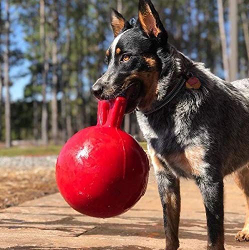 Jolly Pets Tug-n-Toss Heavy Duty Dog Toy Ball with Handle, 8 Inches/Large, Re…