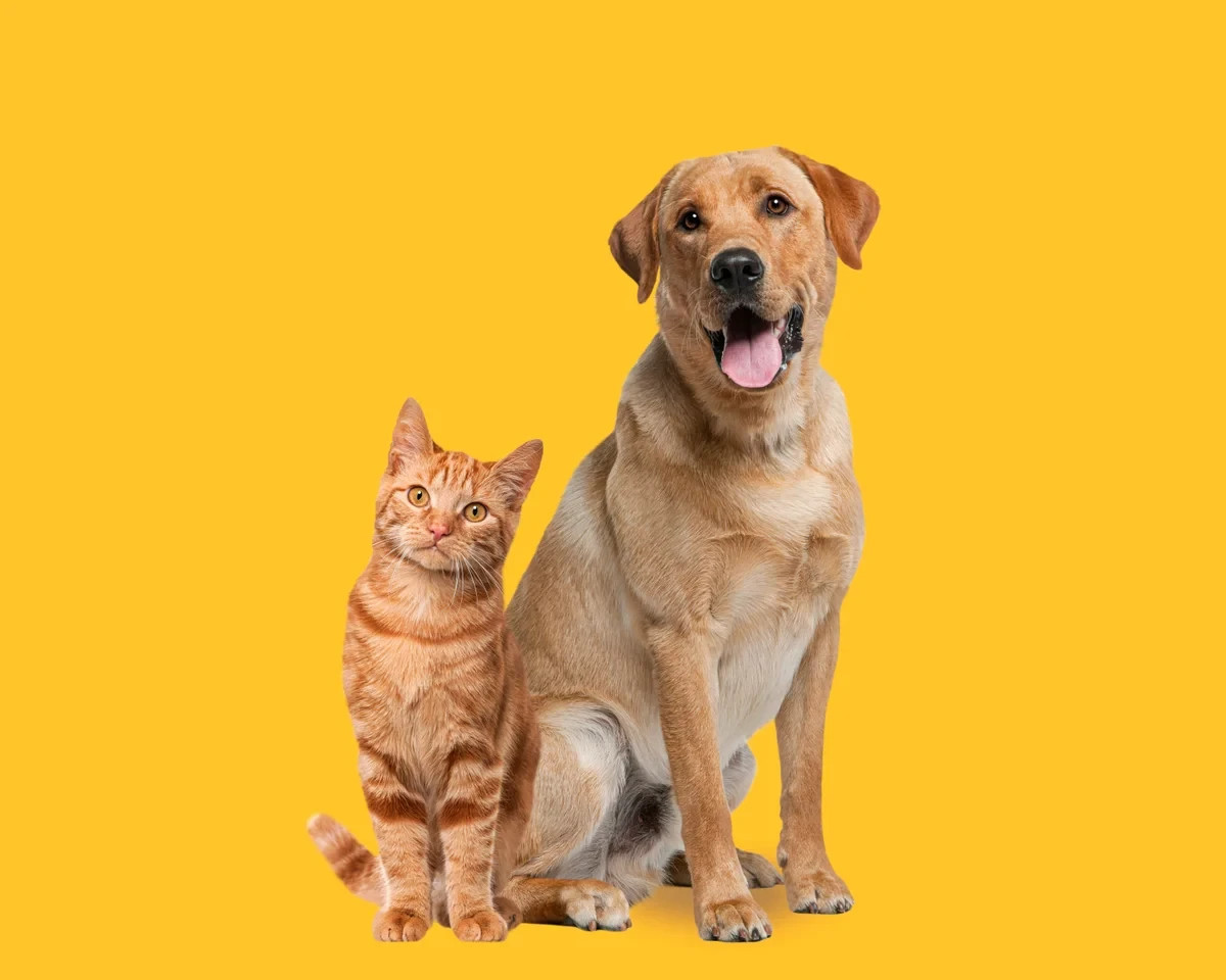 EYEMYCIN Pet Eye Health for Dogs, Cats, Cattle, Sheep, Horses, Birds and Puppies