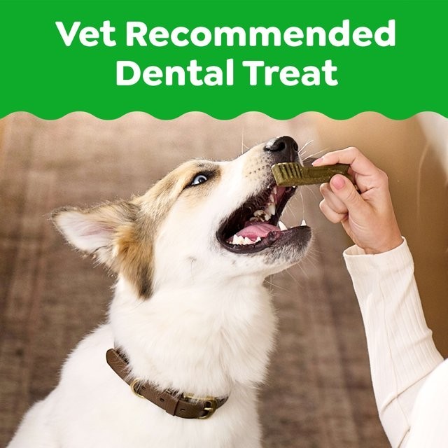 GREENIES Original Large Dog Natural Dental Treats – 54 Oz 34 Count