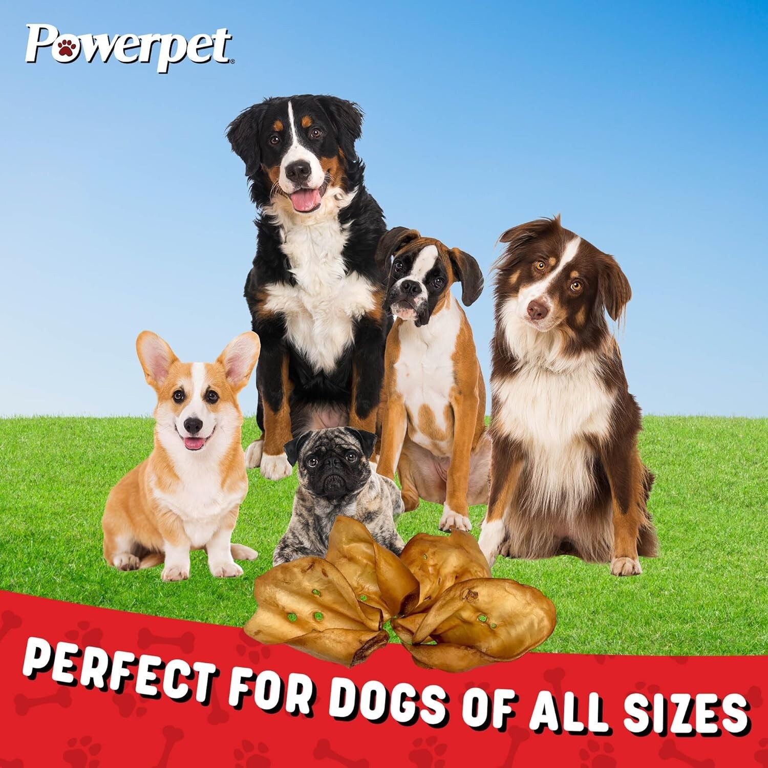 ALL NATURAL Beef SMOKED Cow Ears DOG Treats 25CT- FDA & USDA APPROVED-