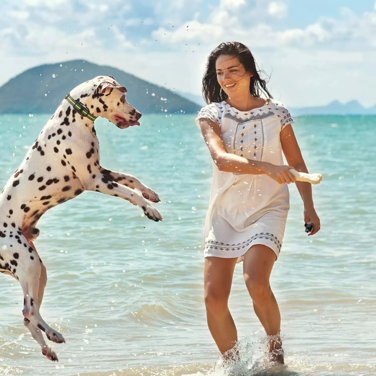 3000 FT Dog Training US Collar Rechargeable Remote Shock PET Waterproof Trainer