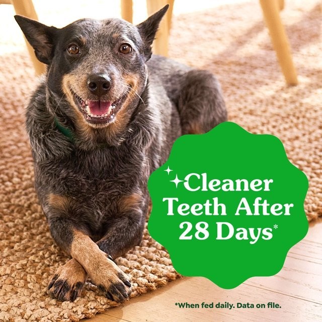GREENIES Original Large Dog Natural Dental Treats – 54 Oz 34 Count