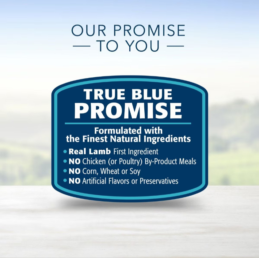 Blue Buffalo Homestyle Recipe Lamb Dinner Adult Wet Dog Food,12.5 oz,Case of 12