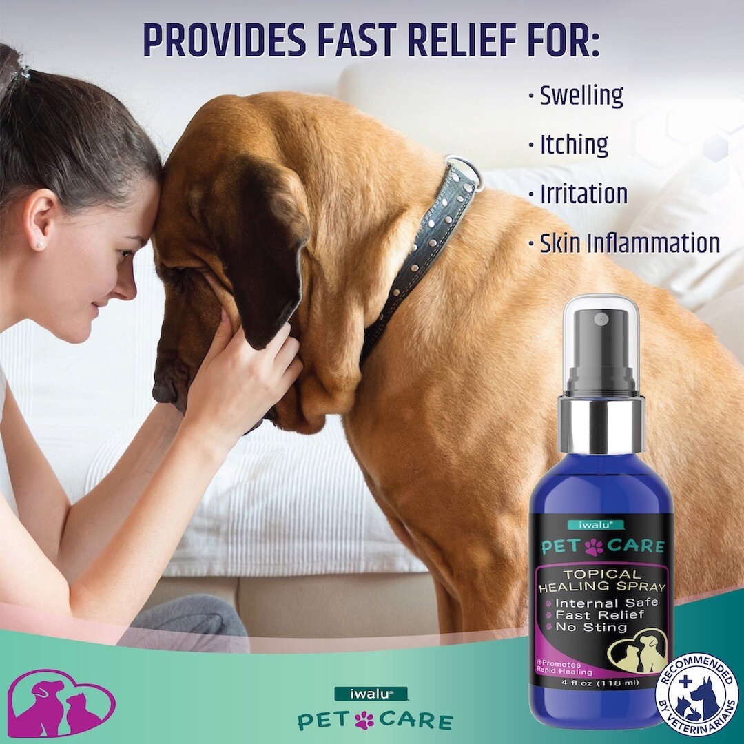 BEST Healing Soothing Spray Dog Cat Skin Irritation Dermatitis Wounds Bites